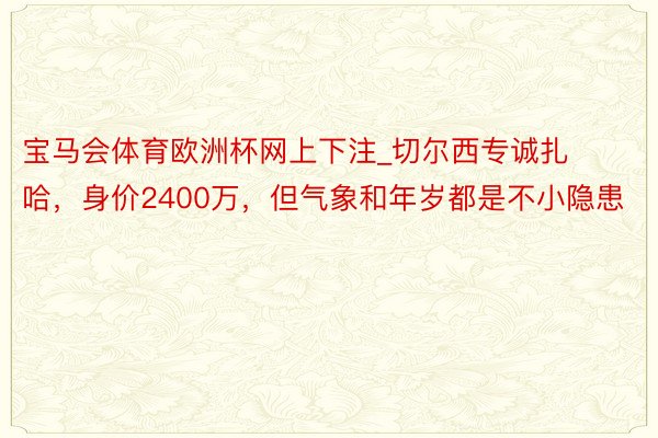 宝马会体育欧洲杯网上下注_切尔西专诚扎哈，身价2400万，但气象和年岁都是不小隐患