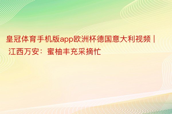 皇冠体育手机版app欧洲杯德国意大利视频 | 江西万安：蜜柚丰充采摘忙