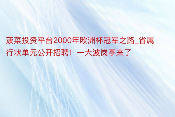 菠菜投资平台2000年欧洲杯冠军之路_省属行状单元公开招聘！一大波岗亭来了